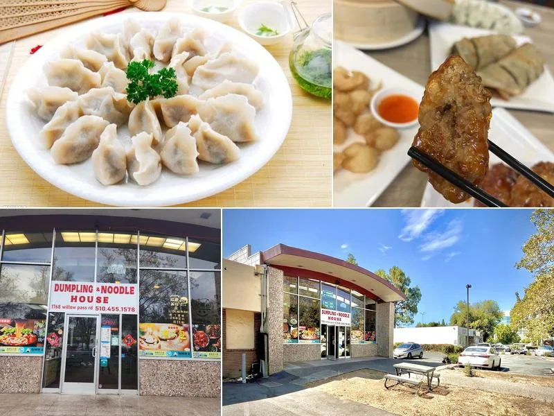 Dumpling and Noodle House business photo