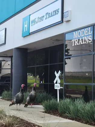 Just Trains, business photo 3