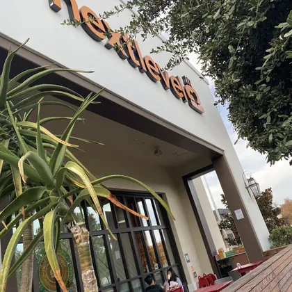 Next Level Burger Concord, business photo 2
