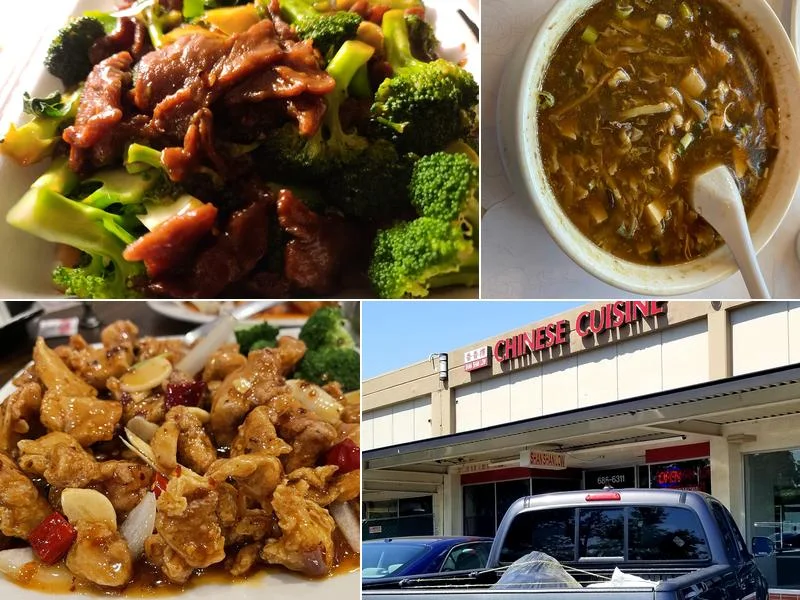 Shan Shan Low Restaurant business photo