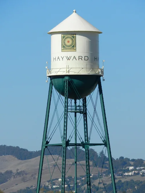 Hayward